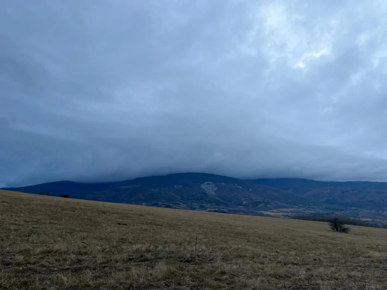 Kokalyane